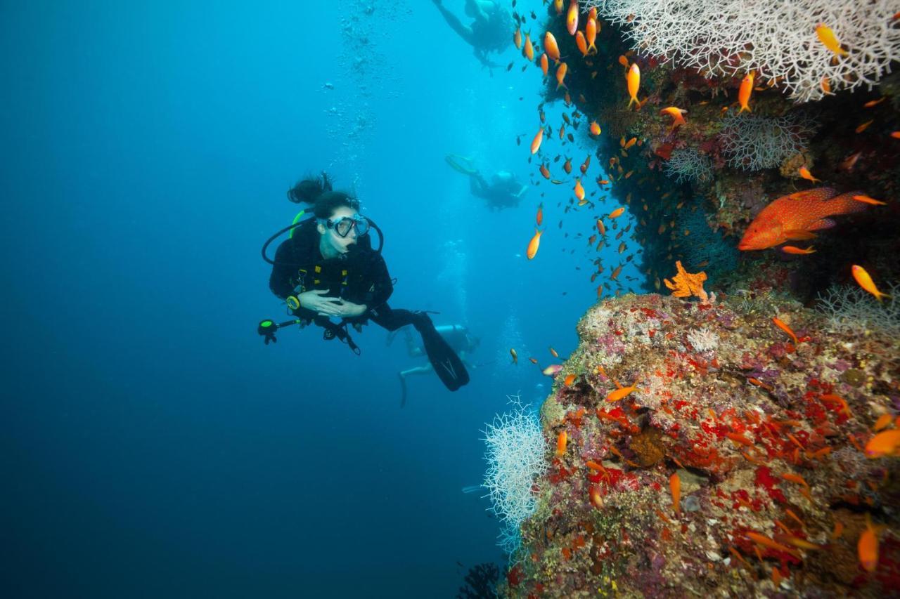 מלון Hoarafushi Ja Manafaru, Maldives מראה חיצוני תמונה
